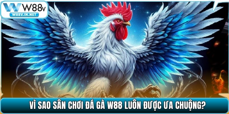 Vì sao sân chơi đá gà W88 luôn được ưa chuộng?